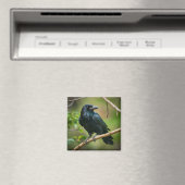 Raven op een boomtak magneet (Insitu (Vaatwasser))