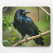 Raven op een boomtak muismat (Voorkant)