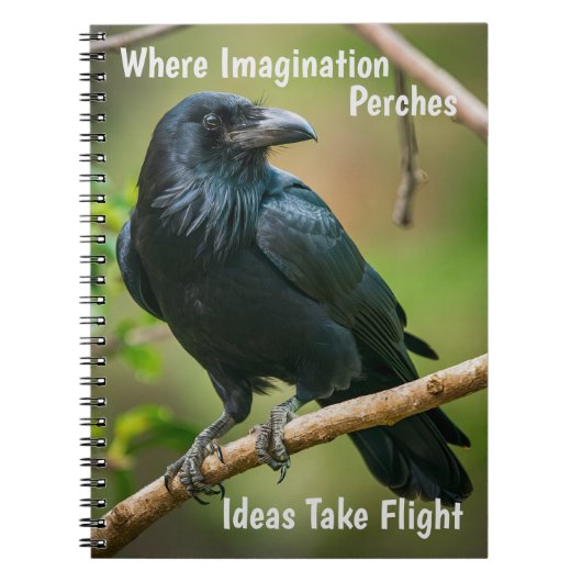 Raven op een boomtak notitieboek (Voorkant)