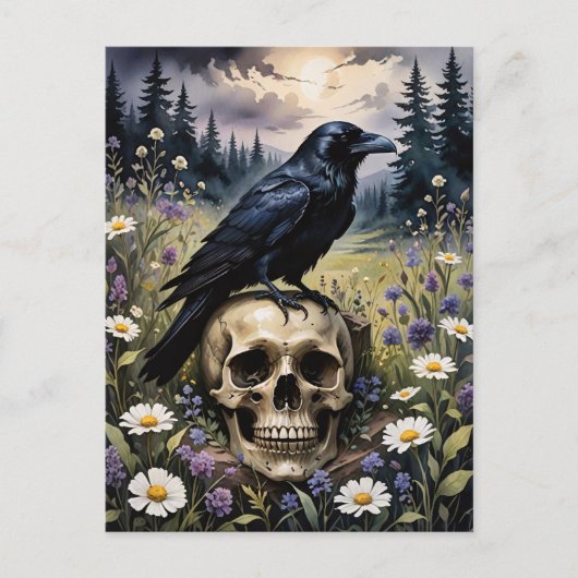 Raven op een schedel briefkaart (Voorkant)
