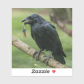 Raven op een tak met sleutel sticker (Vel)
