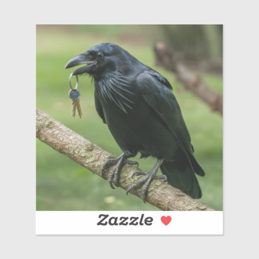 Raven op een tak met sleutel sticker (Vel)