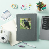 Raven op een tak met sleutel sticker (iPad Cover)