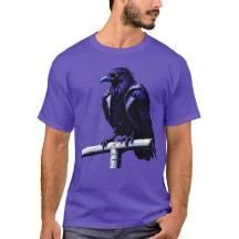 Raven op het doel: de felste blik van Baltimore