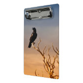 Raven op Sunlit Tree Branches, Grand Canyon Mini Klembord (Angled2)