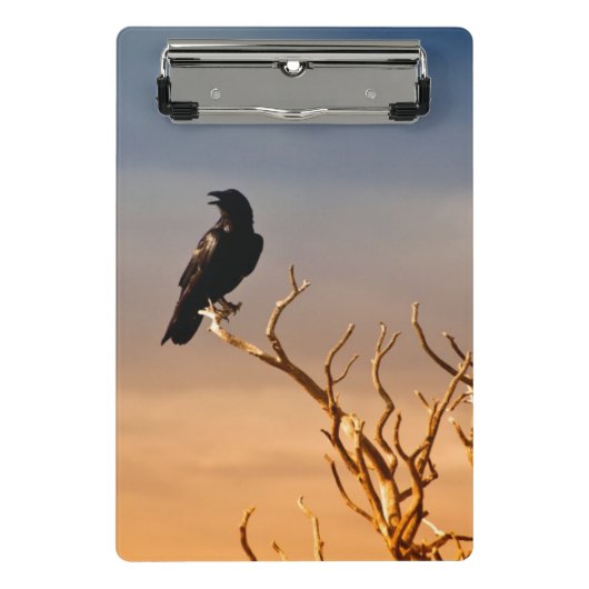 Raven op Sunlit Tree Branches, Grand Canyon Mini Klembord (Voorkant)