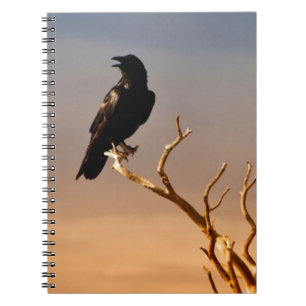 Raven op Sunlit Tree Branches, Grand Canyon Notitieboek