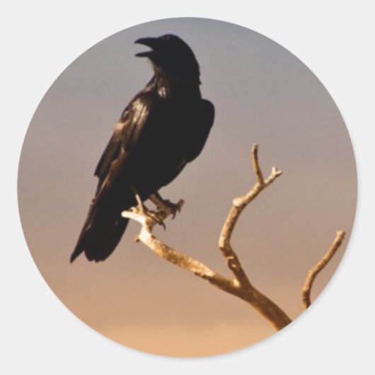 Raven op Sunlit Tree Branches, Grand Canyon Ronde Sticker (Voorkant)