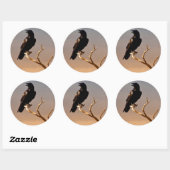 Raven op Sunlit Tree Branches, Grand Canyon Ronde Sticker (Vel)