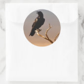 Raven op Sunlit Tree Branches, Grand Canyon Ronde Sticker (Tas)
