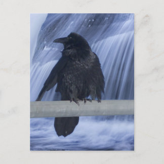 Raven over een waterval briefkaart