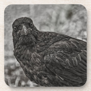 Raven P9239 Bier Onderzetter