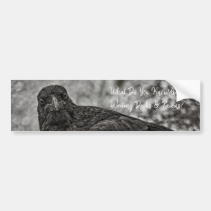 Raven P9239 Bumpersticker