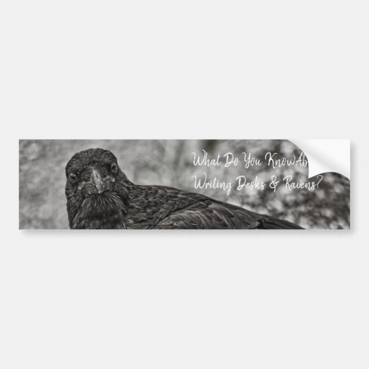 Raven P9239 Bumpersticker (Voorkant)