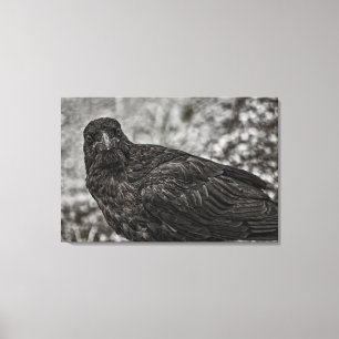Raven P9239 Canvas Afdruk