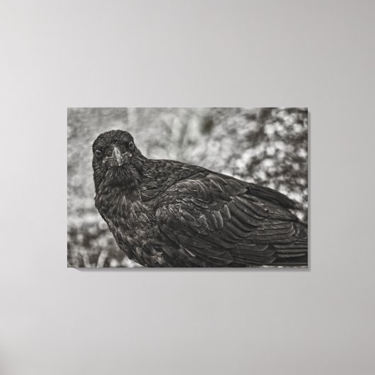 Raven P9239 Canvas Afdruk (Voorkant)