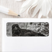 Raven P9239 Etiket (Insitu)