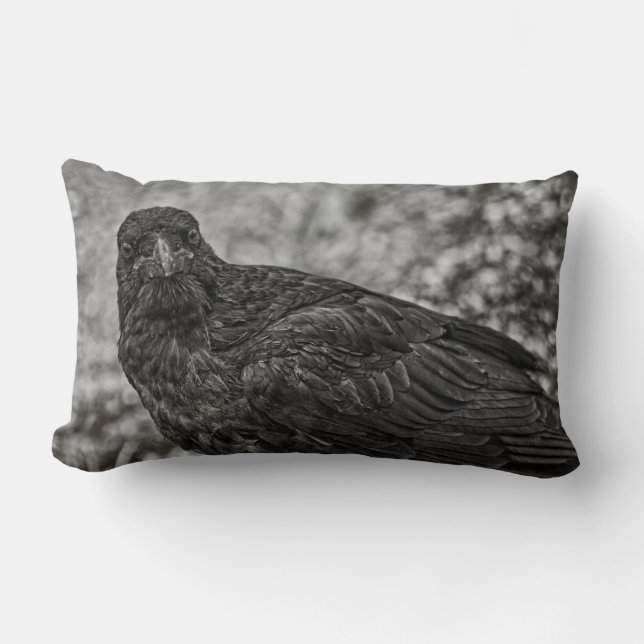 Raven P9239 Kussen (Voorkant)