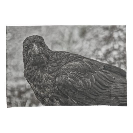 Raven P9239 Kussensloop (Voorkant-Rechts)