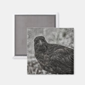 Raven P9239 Magneet (Voorkant / Achterkant)