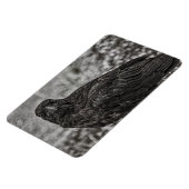 Raven P9239 Magneet (Linkerzijde)