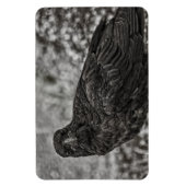 Raven P9239 Magneet (Verticaal)
