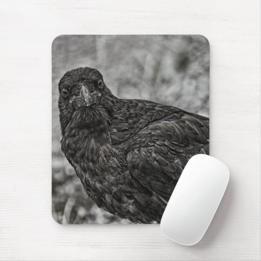 Raven P9239 Muismat (Met muis)