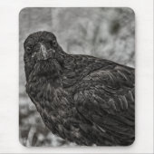 Raven P9239 Muismat (Voorkant)