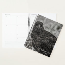 Raven P9239 Planner
