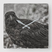 Raven P9239 Vierkante Klok (Voorkant)