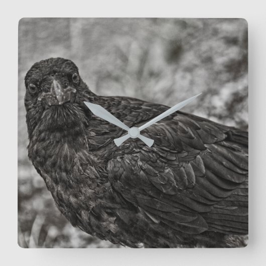 Raven P9239 Vierkante Klok (Voorkant)