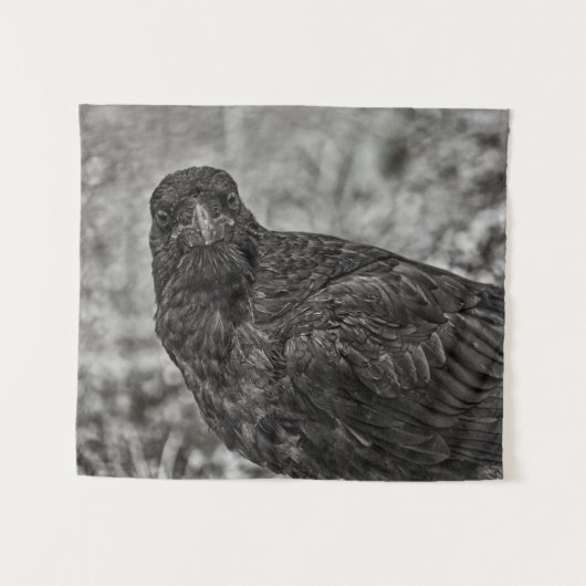 Raven P9239 Wandkleed (Voorkant (horizontaal))