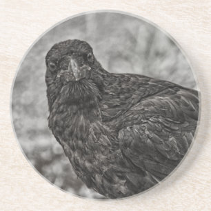 Raven P9239 Zandsteen Onderzetter
