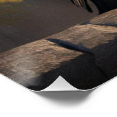 Raven Perfect Poster (Hoek)