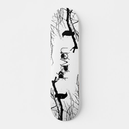 Raven Persoonlijk Skateboard (Voorkant)