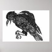 Raven Poster (Voorkant)