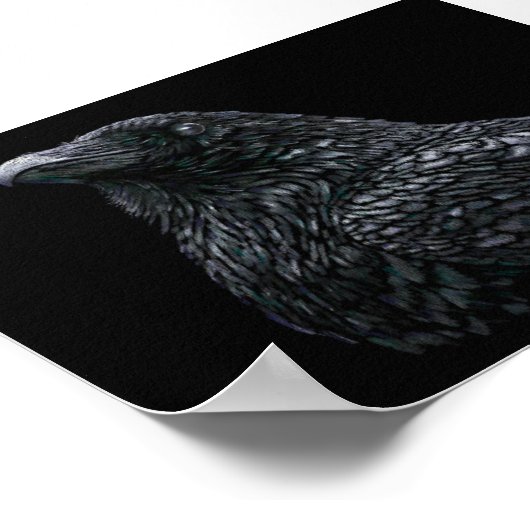 Raven Poster (Hoek)