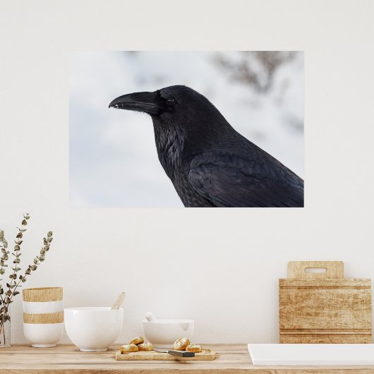 Raven Poster (Keuken)