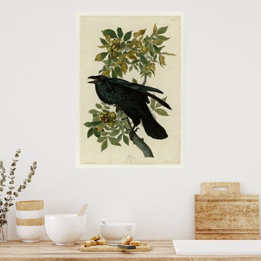 Raven Poster (Keuken)