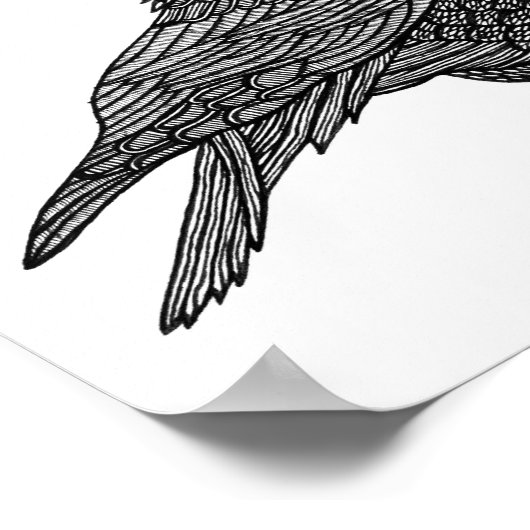 Raven Poster (Hoek)