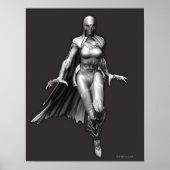 Raven Poster (Voorkant)