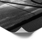 Raven Poster - Nevermore Sunbeams Tree B&W (Hoek)