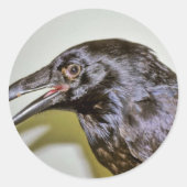 Raven Ronde Sticker (Voorkant)