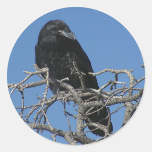 Raven Ronde Sticker