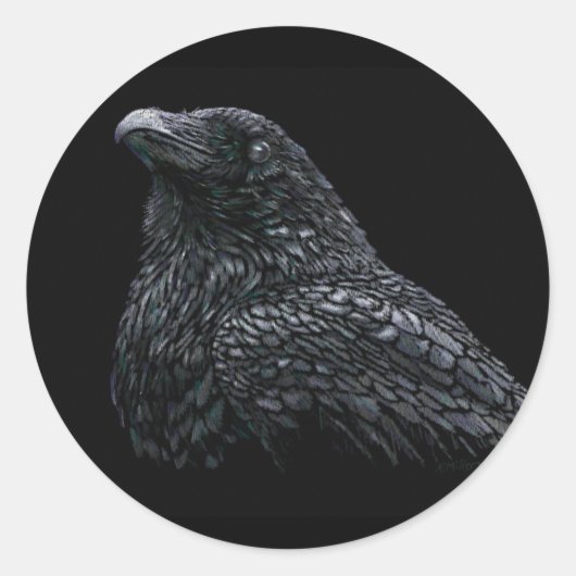Raven Ronde Sticker (Voorkant)