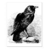Raven Rubberstempel (Afrduk)