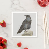 Raven Servet (Insitu)