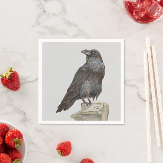 Raven Servet (Insitu)