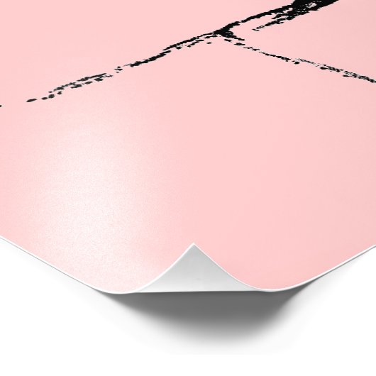 Raven Silhouette -  Gothic Ravens & Crows Foto Afdruk (Hoek)