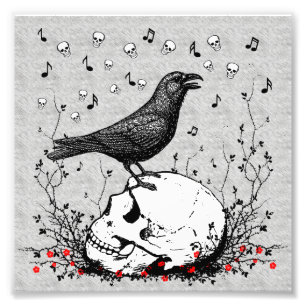 Raven Sings Song Death on Skull Illustration Foto Afdruk